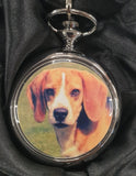 Boxx Picture Pocket watch Beagle Dog P5061.94